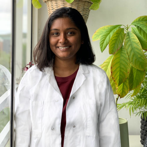 chitra jain