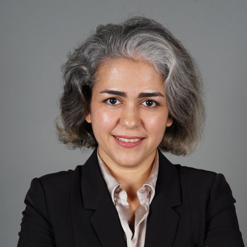 Maryam Vahidmoghadam