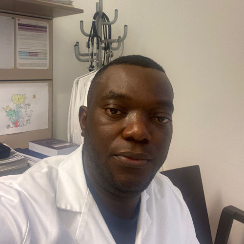 Dr Emmanuel Oyebanre