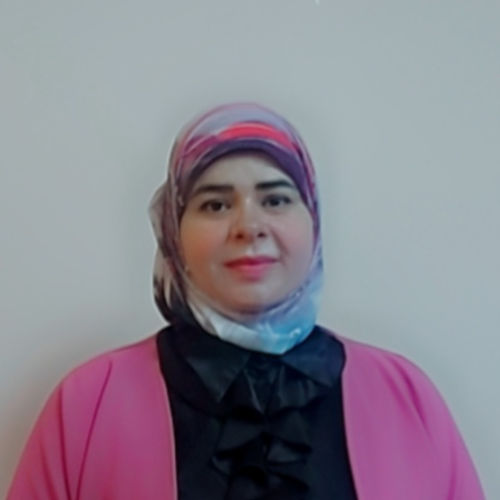 Dina Elsayed Elsafty